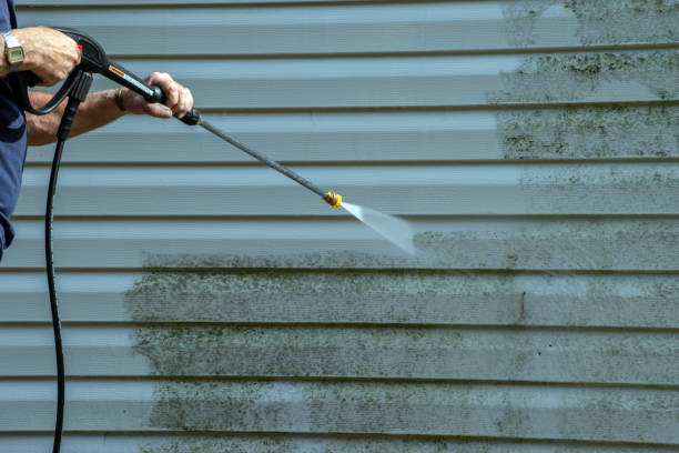Best Affordable Power Washing  in Cavalier, ND