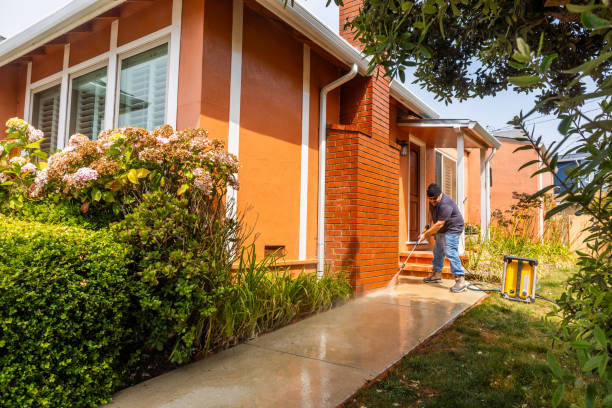 Best Exterior Home Cleaning  in Cavalier, ND